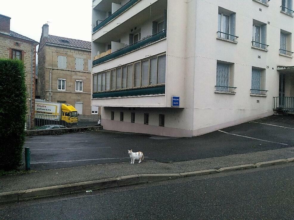 Bel Appartement A Vivre Saint-Etienne  Exteriör bild